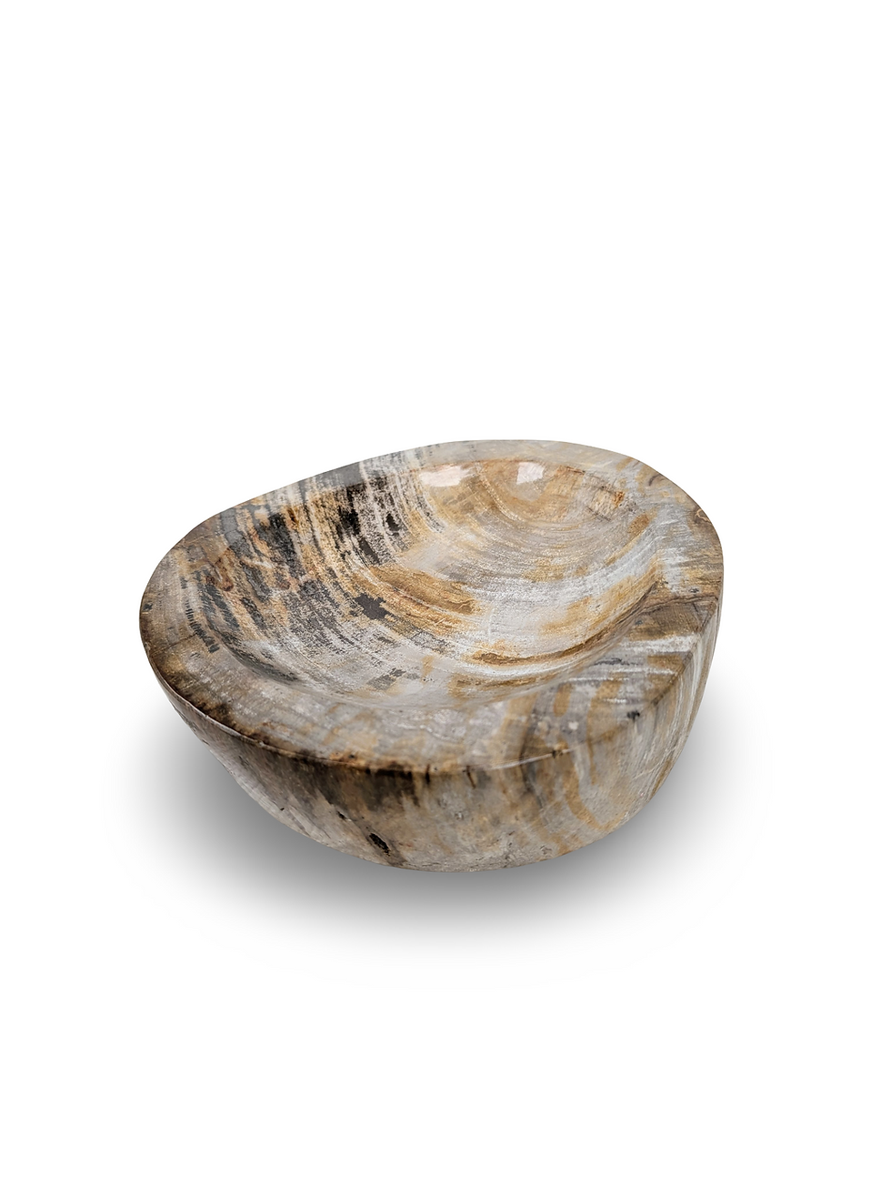 Thumbnail: PETRIFIED WOOD BOWL, Fossilized Wood Bowl, Stone Wooden Dish, Natural Stone Bowl