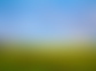 新しいホームページを立ち上げました