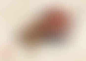 Yuko Shimizu illustration