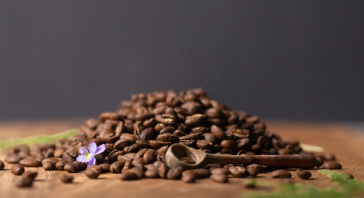 Ecogranja - 24_edited.png