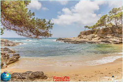 WhatsApp Image 2025-11-23 at 23.19.12 (3)