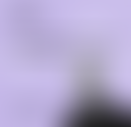 The Company Starts Now