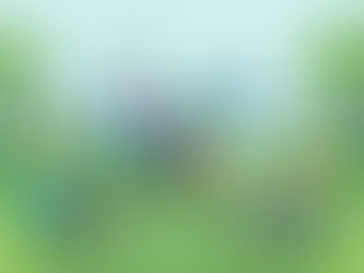 ¿Por qué es importante recoger la basura?