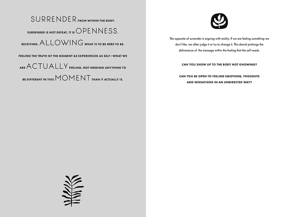 Screenshot 2026-02-17 at 5.05.13 PM.png