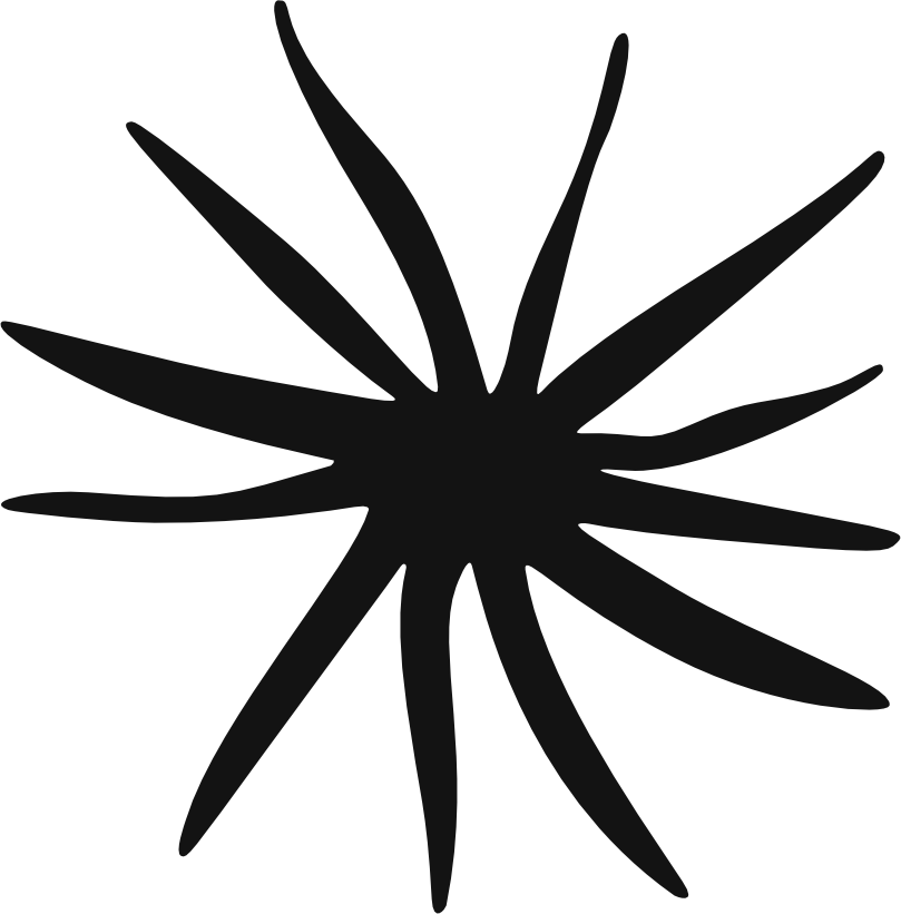 slice2.png