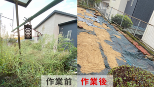 空き家の樹木剪定・伐採・草刈り事例