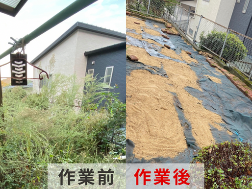 空き家の樹木剪定・伐採・草刈り事例