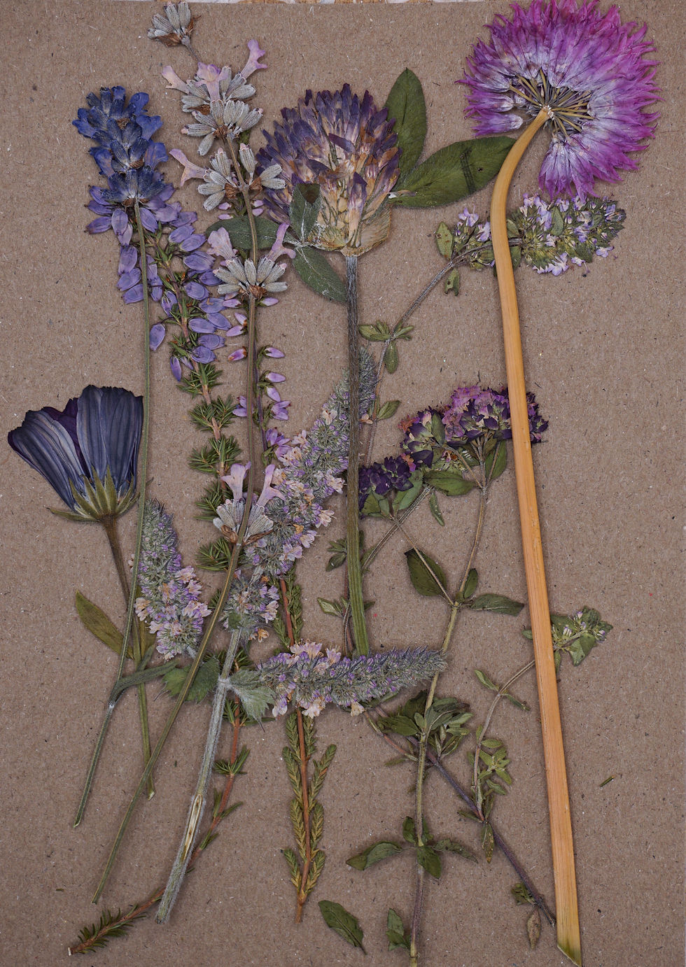 purple pressed edible flowers for cake decorating