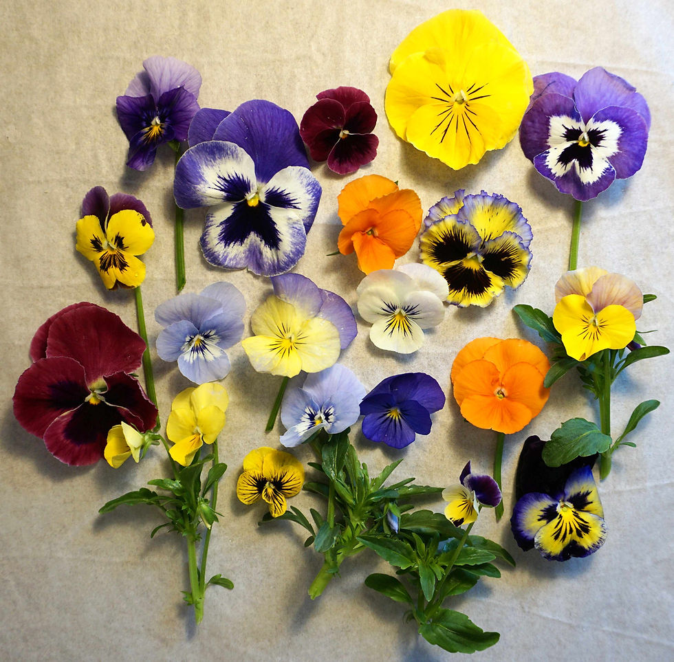 Thumbnail: fresh edible flowers for cakes