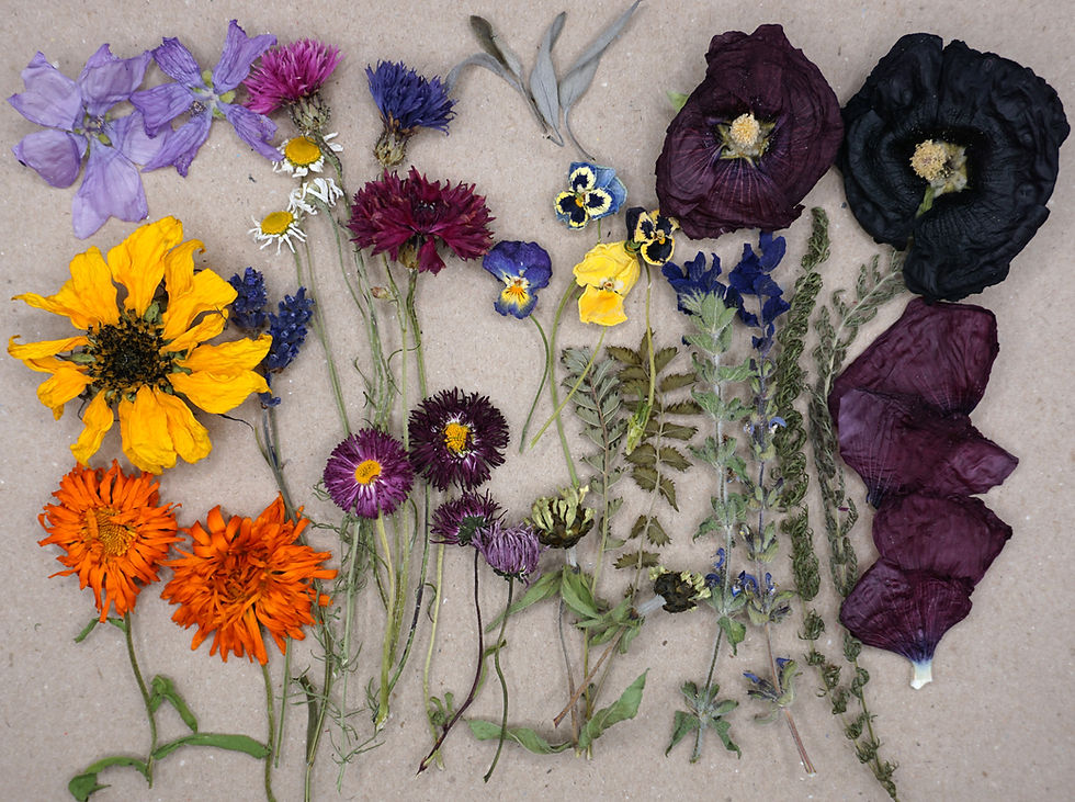Thumbnail: dried edible flowers for cakes