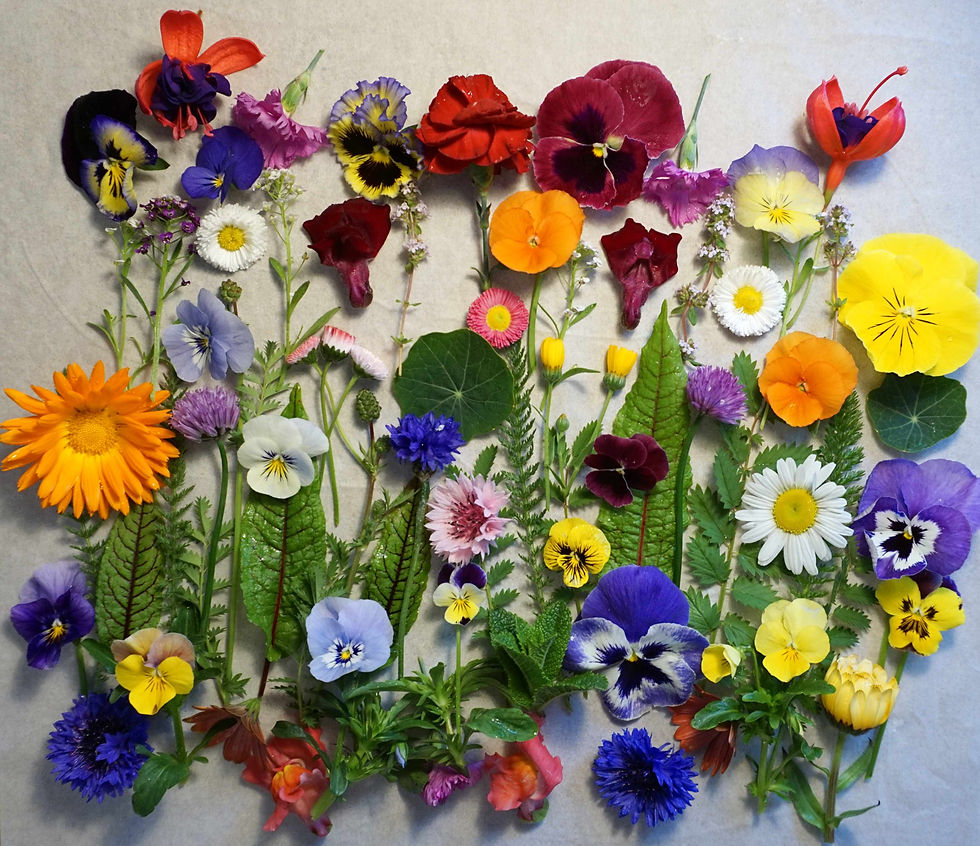 Thumbnail: fresh edible flowers for cakes