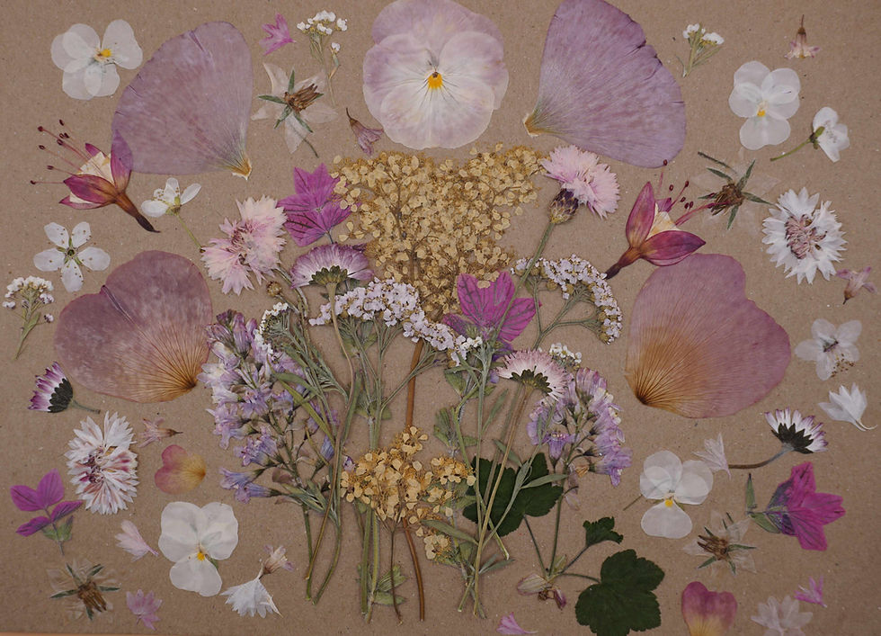 pressed cake flowers