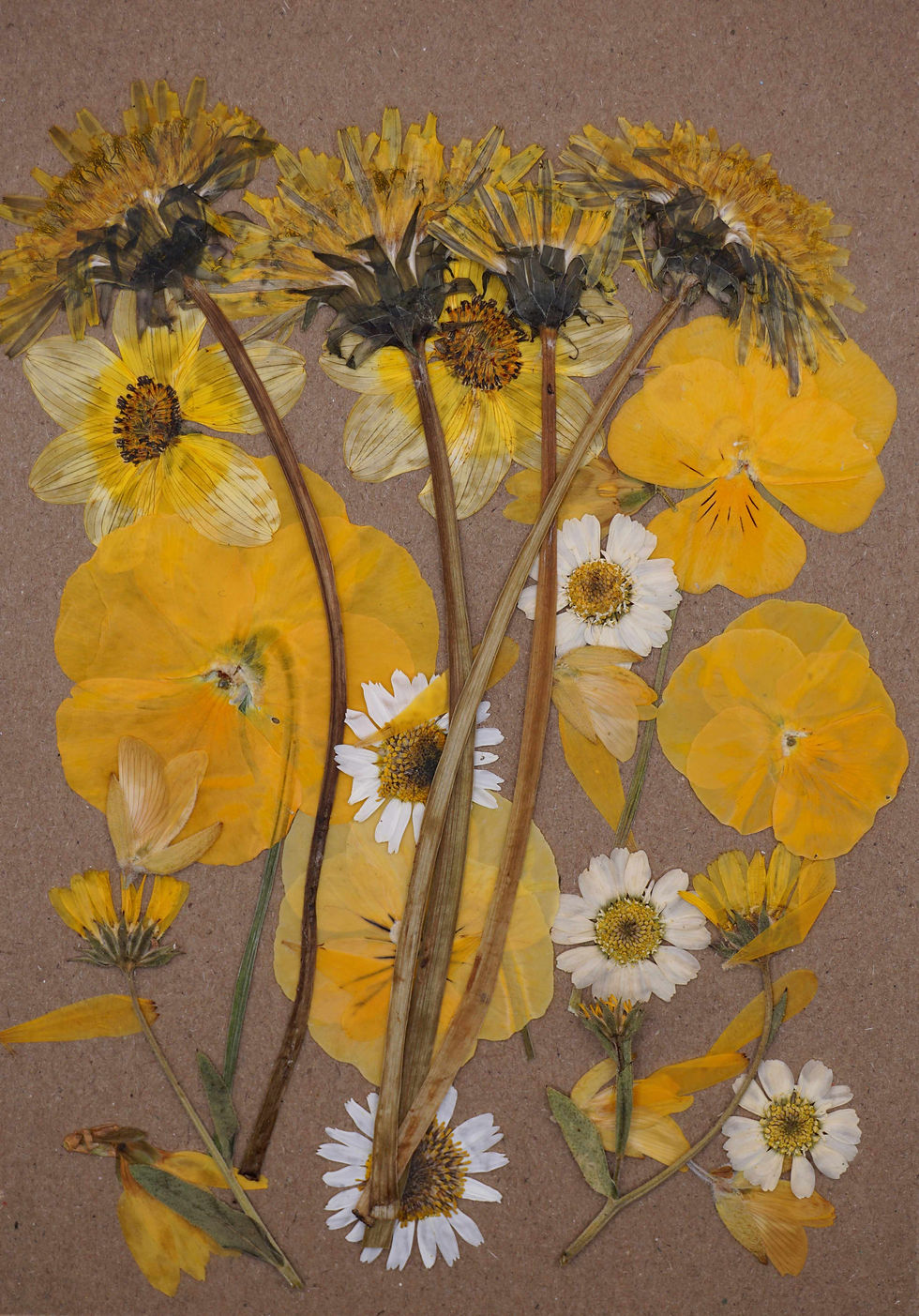 Thumbnail: yellow pressed edible flowers for cakes