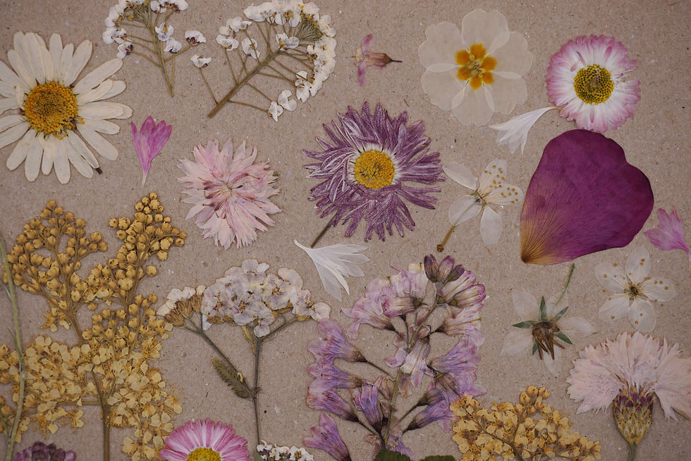 Thumbnail: pink and white pressed edible flowers for cakes