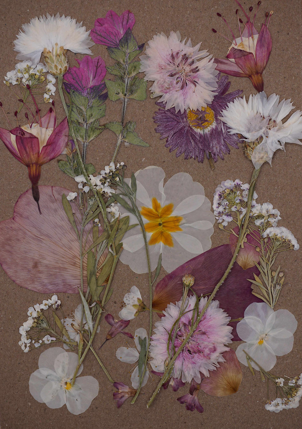 Thumbnail: pressed edible flowers for cake decorating