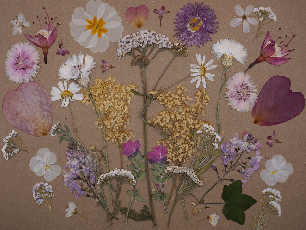 Thumbnail: pressed edible flowers for cake decorating
