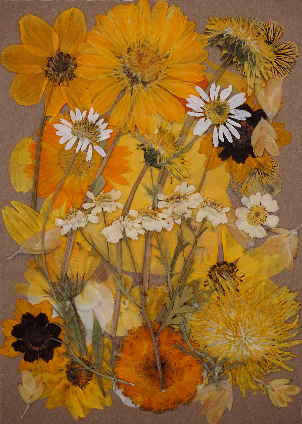 Thumbnail: Sunny | Pressed Edible Flowers