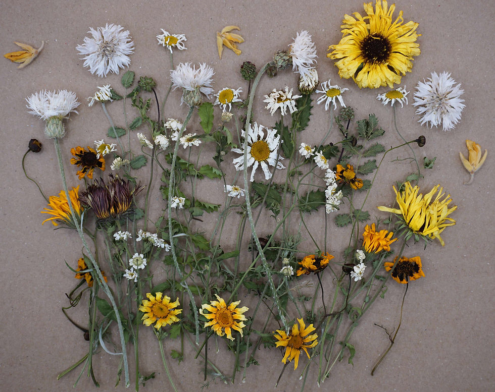 Thumbnail: meadow edible flower cake decoration by Wee Flower Eater