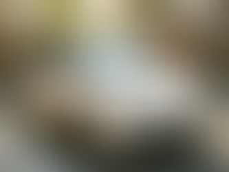 Fiat 500 occasion moins de 5000€ : Rêve accessible ou pari risqué ?