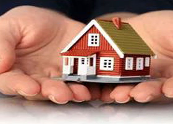 property purchase vehicle purchase