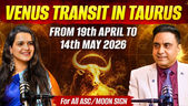 VENUS TRANSIT IN TAURUS FROM 19th APRIL TO 14th MAY 2026 FOR ALL ASC/MOON SIGN                       
