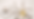 Untitled design(218).png