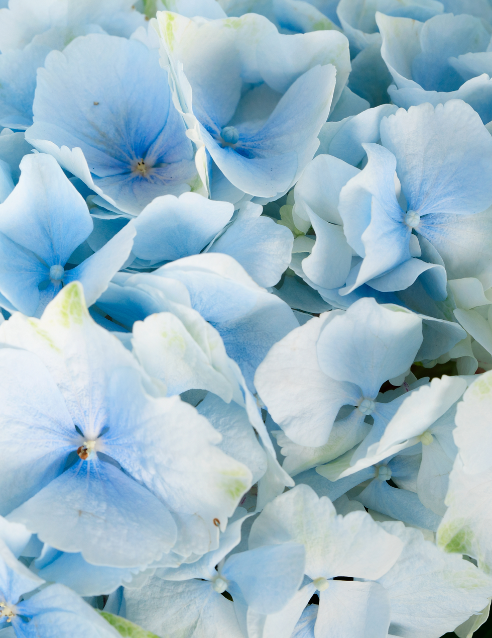 Untitled design(48).png