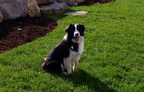 DSCF4060.jpg