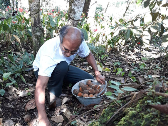 WhatsApp Image 2020-08-14 at 18.39.24 (2).jpeg