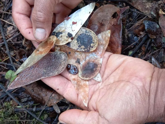 WhatsApp Image 2021-10-14 at 5.52.56 AM (2).jpeg