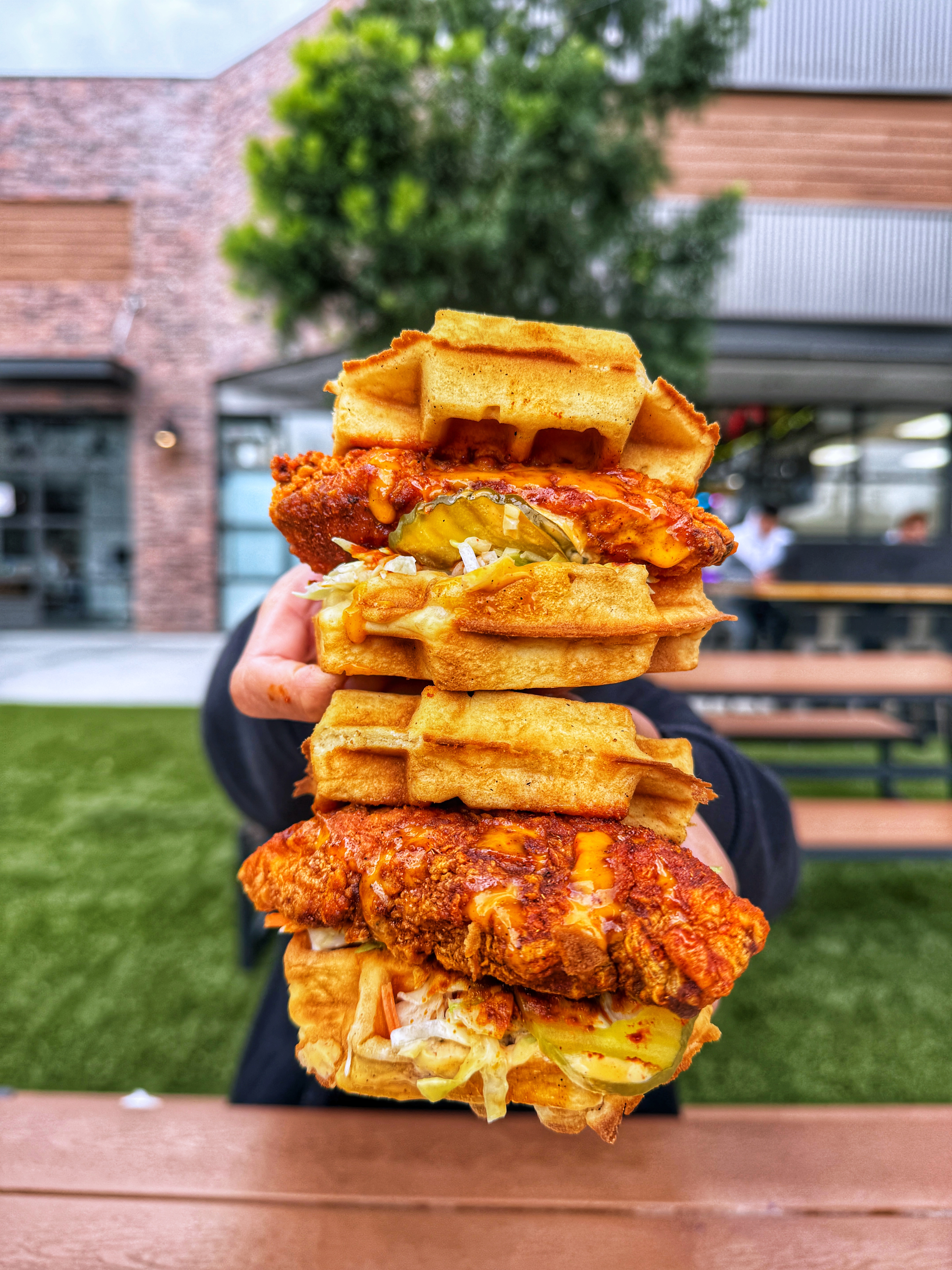 Photo Apr 17 2025, 2 05 25 PM.jpg