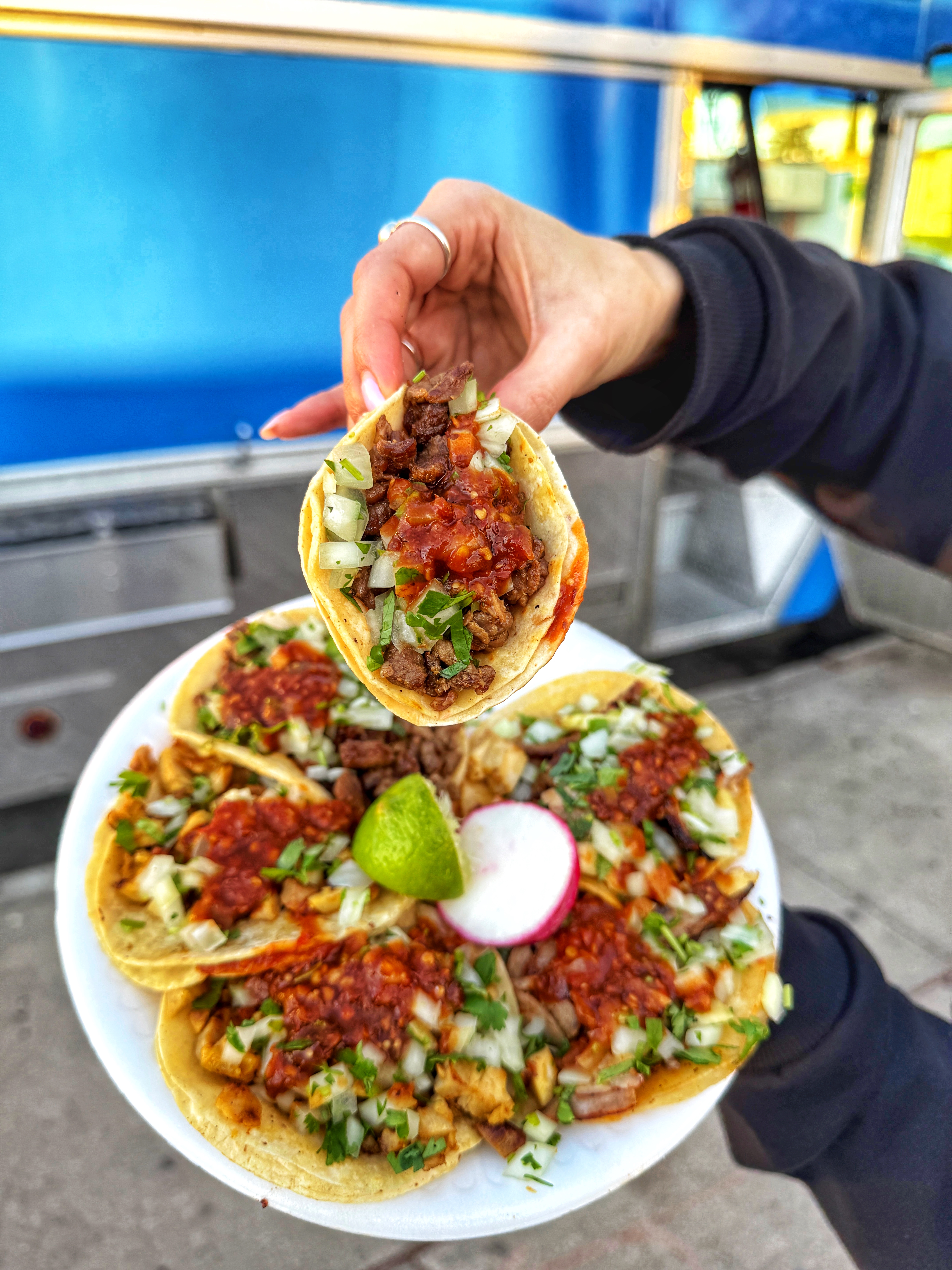 Photo Nov 25 2024, 4 21 31 PM.jpg