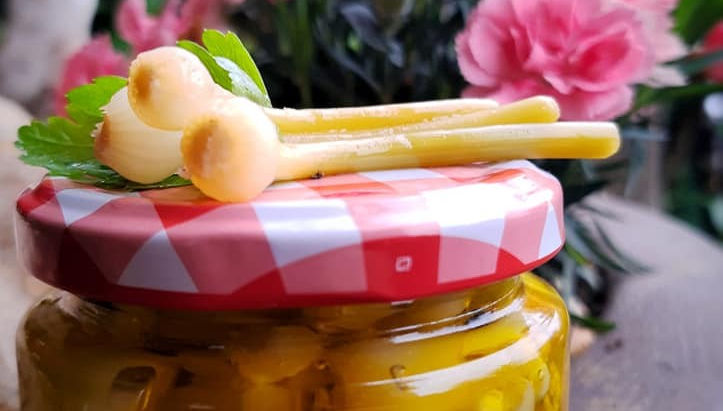 Aglio pippolino sott'olio