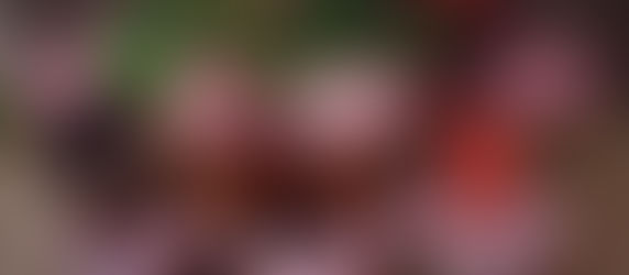 Fantasia di confetture di mele