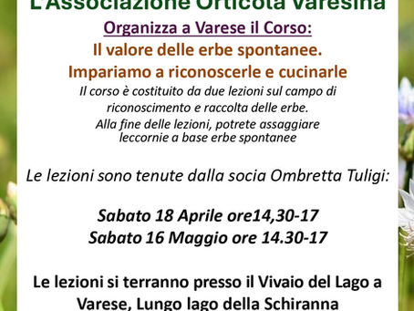 Corso Il valore delle erbe spontanee 2026 - ORTICOLA VARESINA