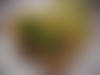 Omelette e finocchietto marino