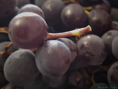 UVA FRAGOLA