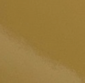 Couleur Camel Brillant