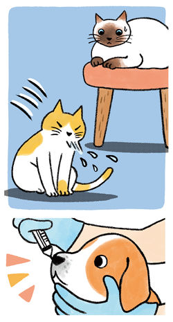 「as」ワクチン特集　イラストカット＜インターズー＞