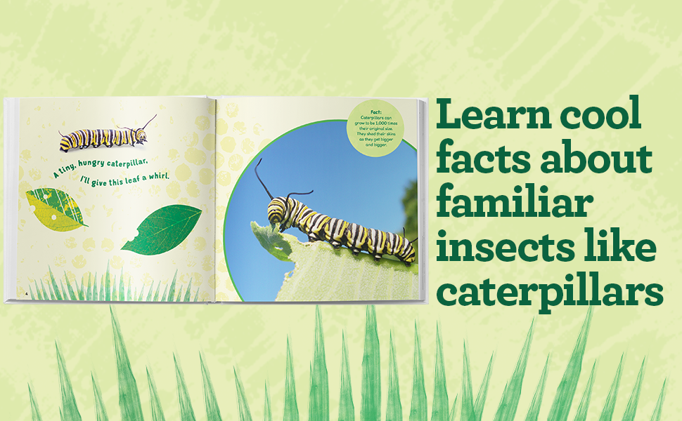 Thumbnail: The Backyard Bug Book for Kids: Storybook, Insect Facts, and Activities (Let's 