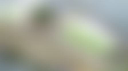 AGEセラピストトレーニング日程のお知らせ