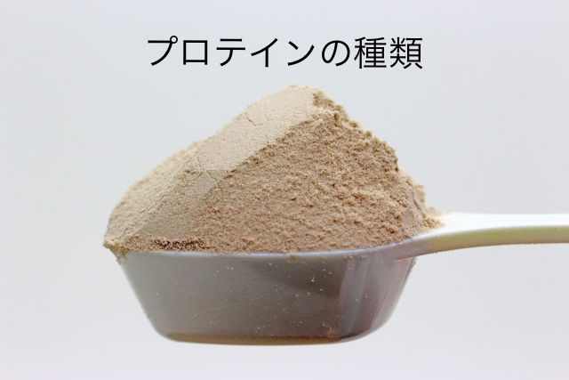 プロテインの種類