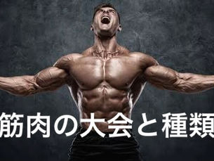 筋肉の大会と種類