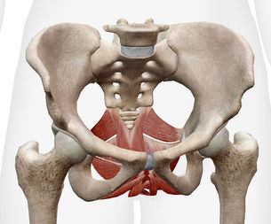 !女性必見!骨盤底筋について