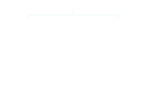 Artboard 18 copy 3_3x.png