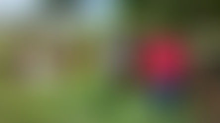 Corpo de adolescente é encontrado em matagal em São Miguel do Guamá