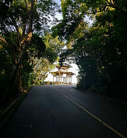 20201216_163134.jpg