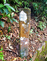 20201216_163416.jpg