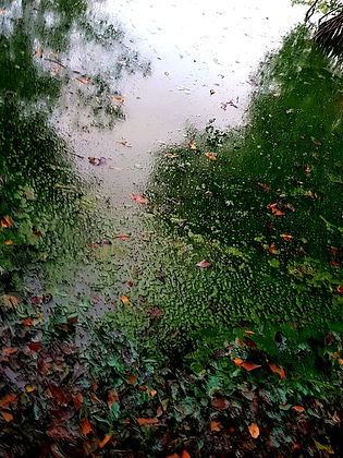 20220120_000403.jpg