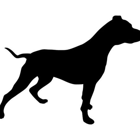 What is Best of Breed and Why Is It Important?